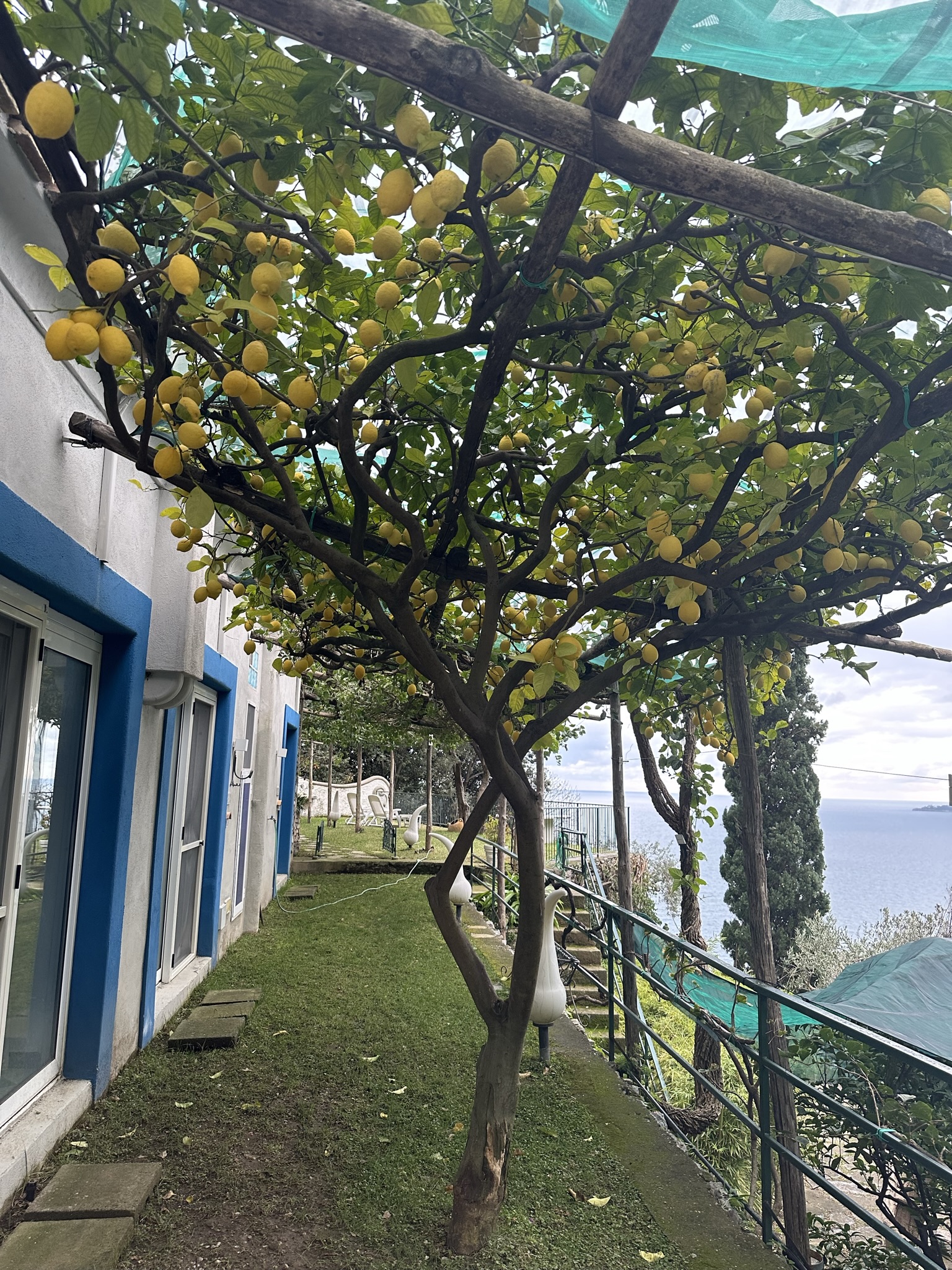 VILLA IN VENDITA POSITANO